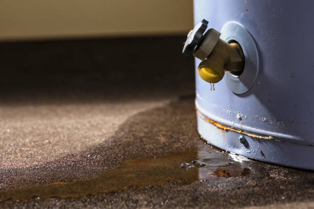 Best Basement water damage restoration  in Ocean City, NJ