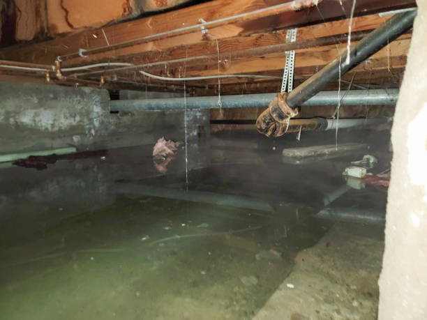 Best Fire Damage Restoration  in Ocean City, NJ