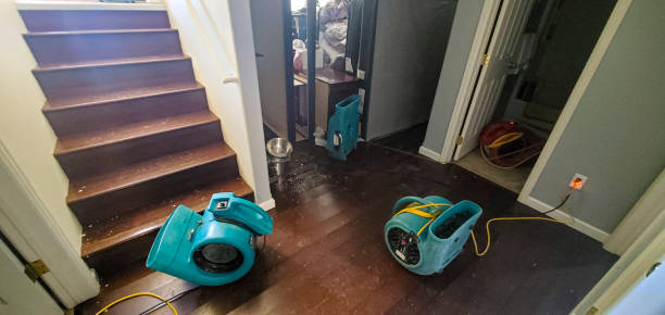 Best Water damage contractors near me  in Ocean City, NJ