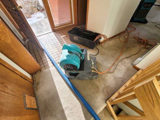 Best Water damage cleanup near me  in Ocean City, NJ