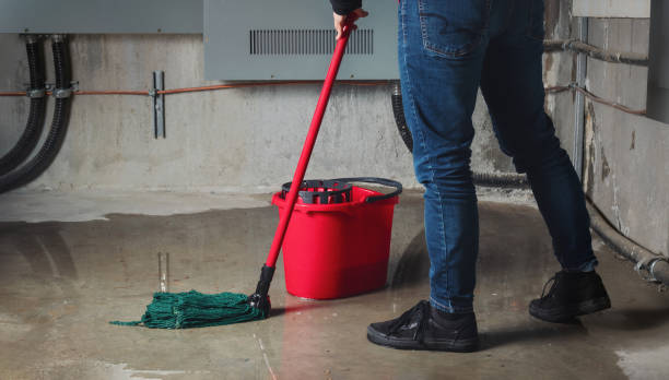 Best Water damage mitigation services  in Ocean City, NJ