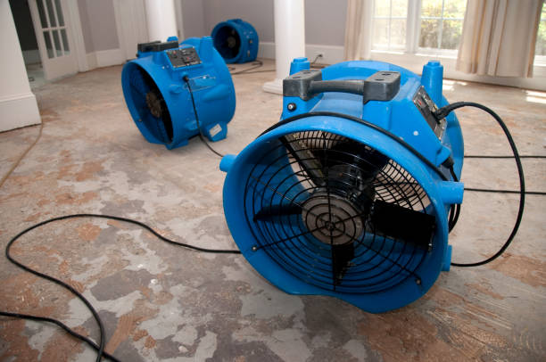 Best Flooded house restoration  in Ocean City, NJ